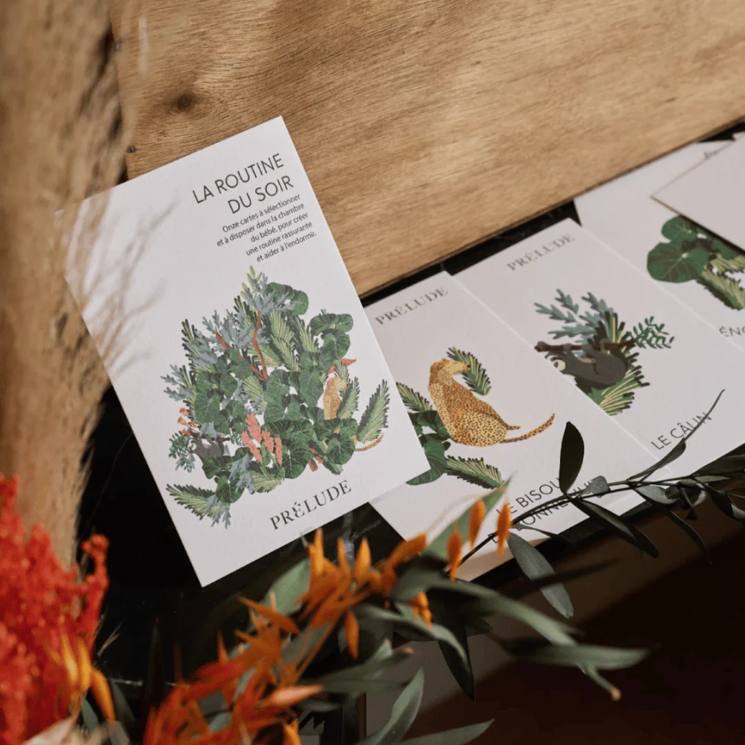 Cartes de routine sommeil - Prélude x Studio Romeo – Image 5