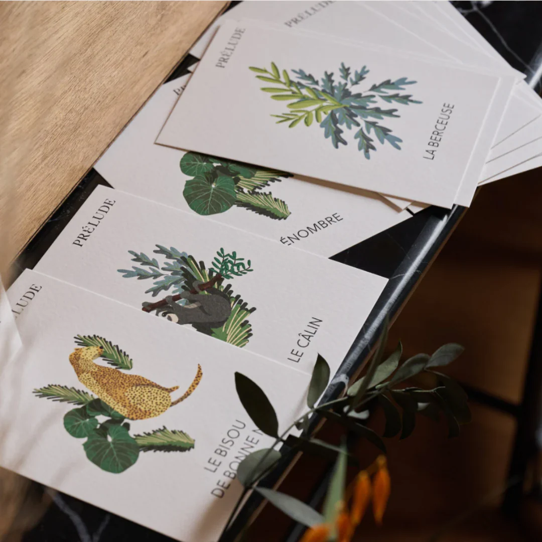 Cartes de routine sommeil - Prélude x Studio Romeo – Image 6